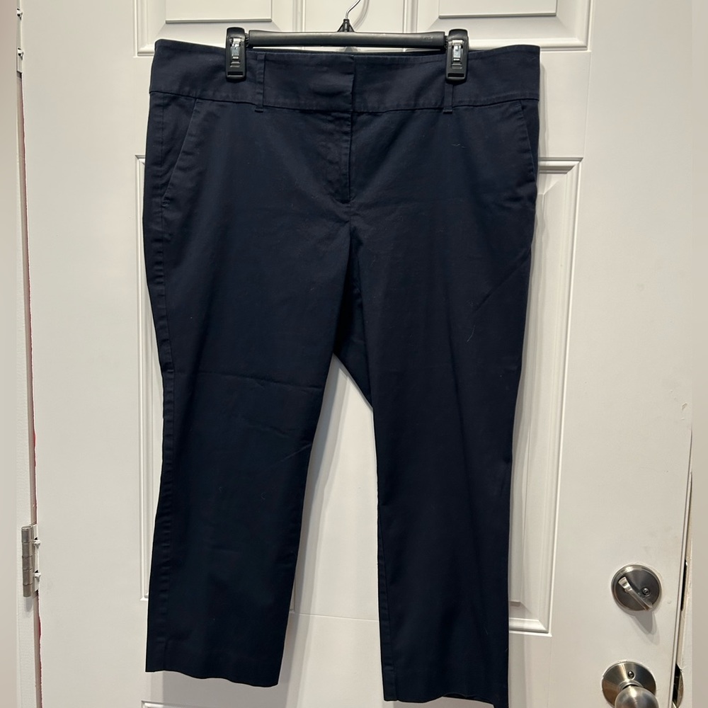 Ann Taylor Navy Cropped Chinos - size 16